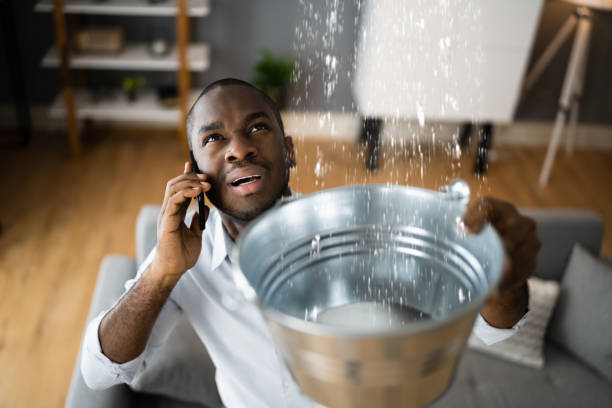 Best Flooded house restoration  in Luxora, AR