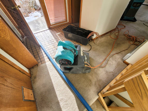 Best Water damage contractors near me  in Luxora, AR
