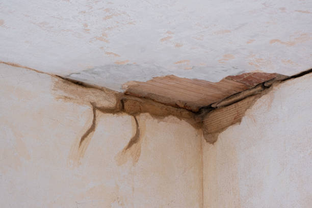 Best Sewage cleanup and water damage restoration  in Luxora, AR