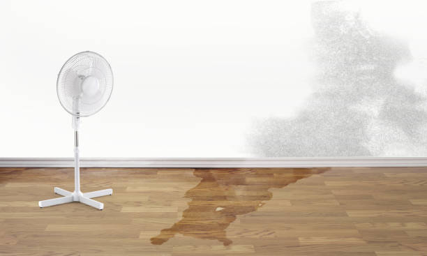  Luxora, AR Water damage restoration Pros