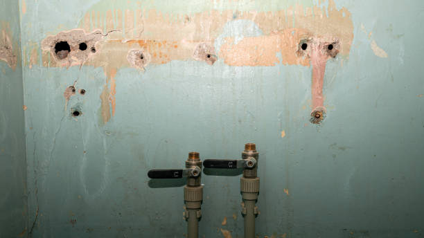 Best Emergency water damage restoration  in Luxora, AR