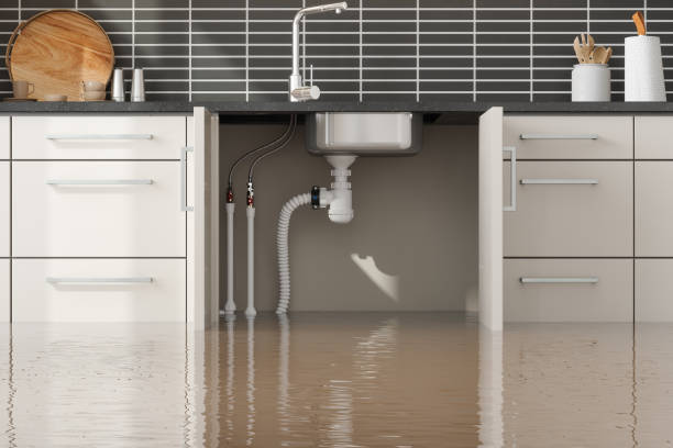 Best Water damage restoration cost  in Luxora, AR
