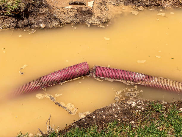 Best Water damage restoration near me  in Luxora, AR