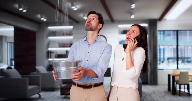 Best Fire Damage Restoration  in Luxora, AR