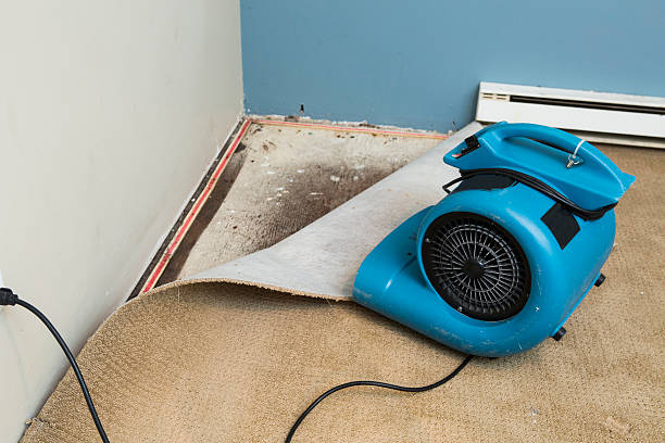 Best Flood damage cleanup  in Luxora, AR